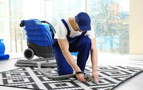 Premium Carpet Cleaning