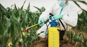 Safe Pest Control